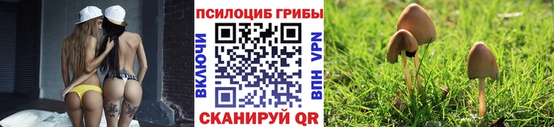 продажа наркотиков  Верхняя Тура  Галлюциногенные грибы ЛСД 